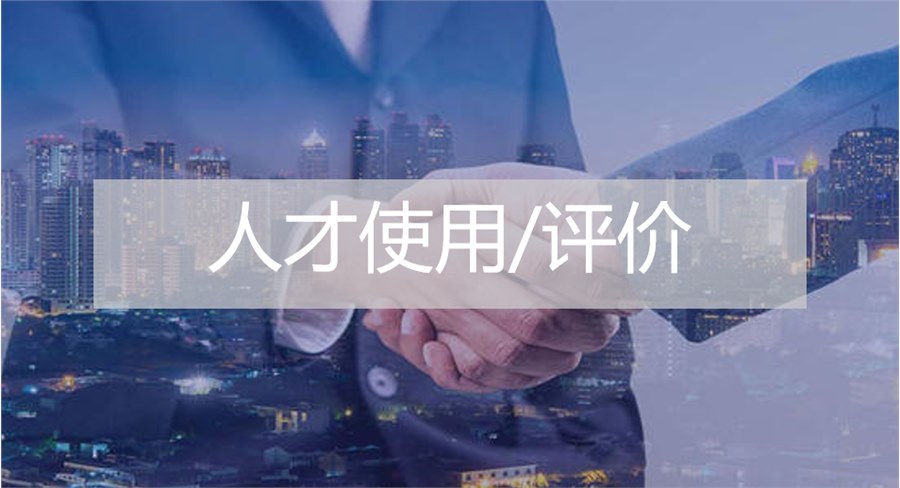 人才使用/評價(jià)